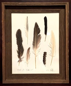 feathers 02